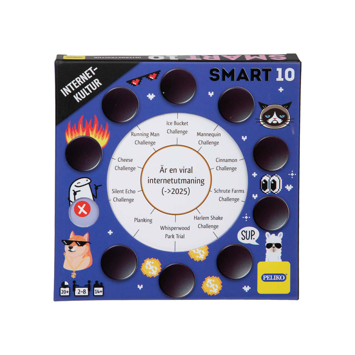 SMART10 Frågekort Internetkultur (svenska)